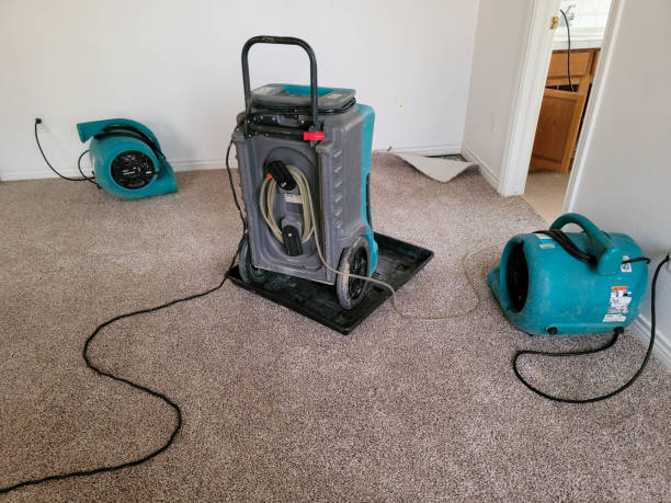 Best Water damage restoration cost  in Melbourne, FL