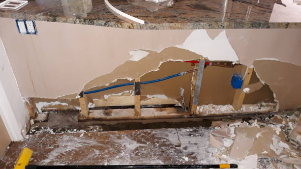 Best Water damage restoration near me  in Melbourne, FL