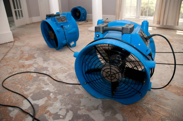 Best Water damage restoration experts  in Melbourne, FL