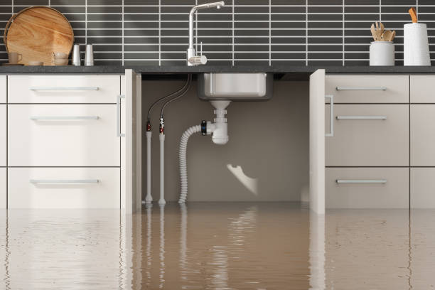 Best Sewage cleanup and water damage restoration  in Melbourne, FL